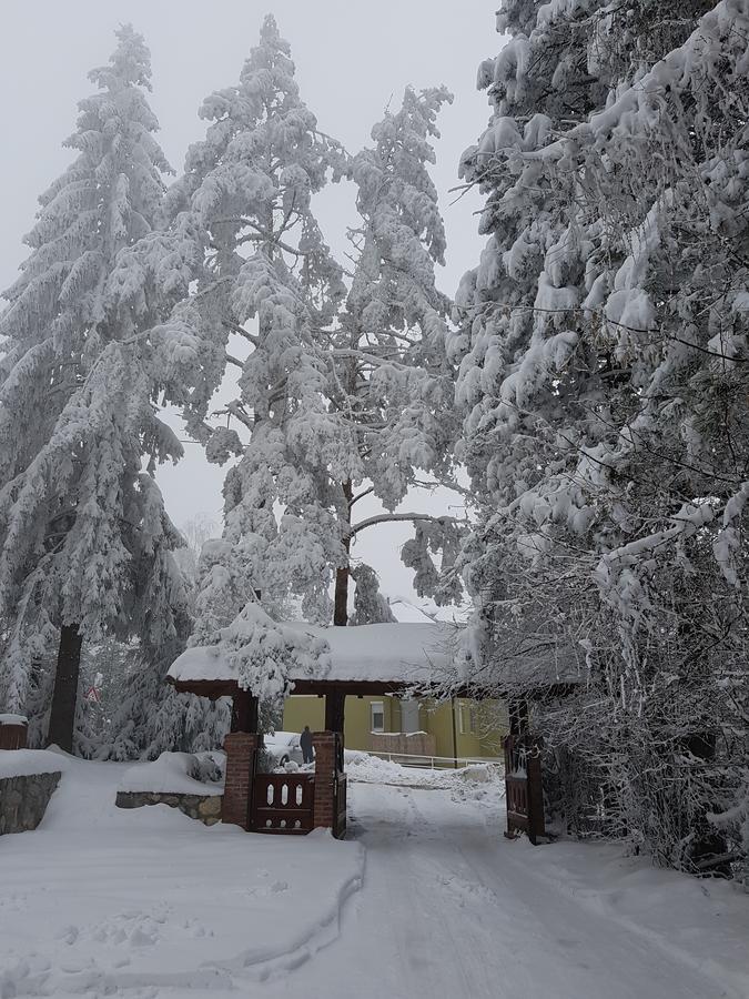 Apartment Joksimovic Zlatibor Esterno foto